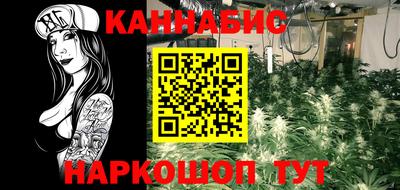 стаф Заводоуковск